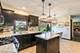 1148 N Anvil, Addison, IL 60101