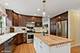 36917 N Deer Trail, Lake Villa, IL 60046