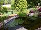 305 Buckingham, Algonquin, IL 60102