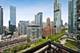 1322 S Prairie Unit 1603, Chicago, IL 60605