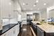 2122 W Melrose, Chicago, IL 60618