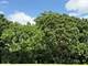 211 N Il-83, Elmhurst, IL 60126