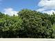 211 N Il-83, Elmhurst, IL 60126