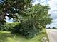 211 N Il-83, Elmhurst, IL 60126