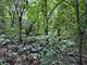 211 N Il-83, Elmhurst, IL 60126