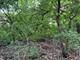 211 N Il-83, Elmhurst, IL 60126
