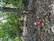 211 N Il-83, Elmhurst, IL 60126