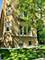 2150 W Arthur Unit 1, Chicago, IL 60645