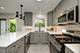 1770 Henley Unit C, Glenview, IL 60025