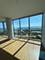 1629 S Prairie Unit 3001, Chicago, IL 60616