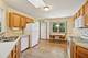 217 Hillcrest, Steger, IL 60475