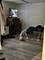 6822 S Kenneth, Chicago, IL 60629