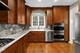 3643 N Hamlin, Chicago, IL 60618