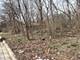 1213 W Park Front, Joliet, IL 60436