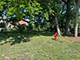 194 S Collins, South Elgin, IL 60177
