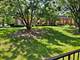 520 Burning Tree Unit 111, Naperville, IL 60563