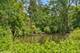 23347 N Indian Creek, Prairie View, IL 60069