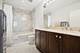 1201 S Prairie Unit 4204, Chicago, IL 60605