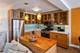 400 E Randolph Unit 827, Chicago, IL 60601