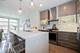 1221 E 46th Unit 1, Chicago, IL 60653