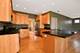 1019 Freedom, Sycamore, IL 60178