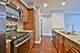 7420 W Lawrence Unit 402, Harwood Heights, IL 60706