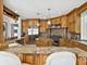 5N113 Burr, St. Charles, IL 60175