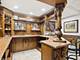 5N113 Burr, St. Charles, IL 60175