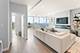 1201 S Prairie Unit 4702, Chicago, IL 60605