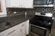 9020 S Wallace, Chicago, IL 60620