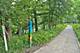 423 Edgewood Unit 2, River Forest, IL 60305