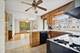 15 Alton, Prospect Heights, IL 60070
