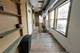 1304 N Campbell Unit 2R, Chicago, IL 60622