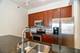 1335 S Prairie Unit 1609, Chicago, IL 60605