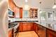 4257 N St Louis, Chicago, IL 60618