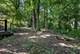 12525 S Pawnee, Palos Park, IL 60464