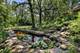 12525 S Pawnee, Palos Park, IL 60464