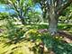 28W650 High Lake, West Chicago, IL 60185