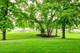 1613 Pebble Beach, Hoffman Estates, IL 60169