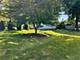 825 Carol, Elgin, IL 60123