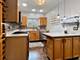 1140 S Harvey, Oak Park, IL 60304