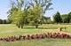 7830 W 157th, Orland Park, IL 60462
