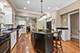 558 W Downer, Aurora, IL 60506