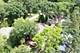 22806 W Loon Lake, Antioch, IL 60002