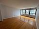 4180 N Marine Unit 1501, Chicago, IL 60613