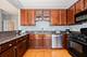 233 E 13th Unit 1509, Chicago, IL 60605