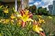 2939 Beth, Naperville, IL 60564