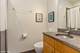 328 S Oak Park Unit 1, Oak Park, IL 60302