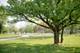14314 Towne, Green Oaks, IL 60048