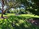 1669 St Ann, Hanover Park, IL 60133